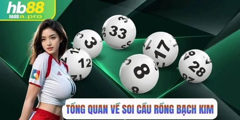 Tổng quan về soi cầu rồng bạch kim